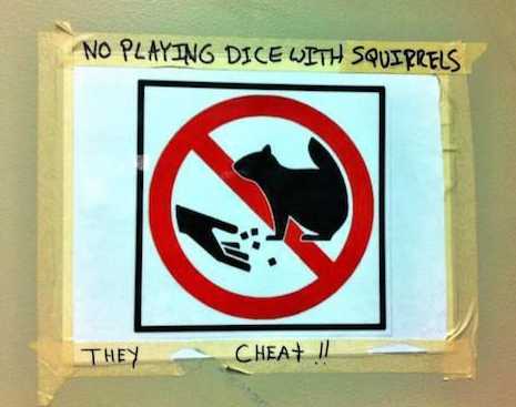 images/gallery/sightgags/SquirrelsCheat.jpg