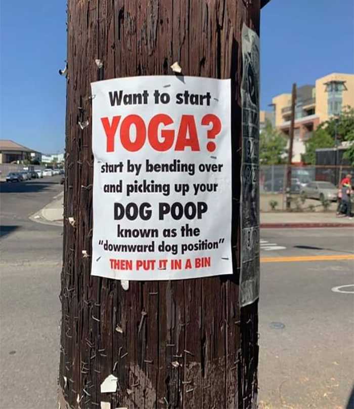 images/gallery/sightgags/StartYoga.jpg
