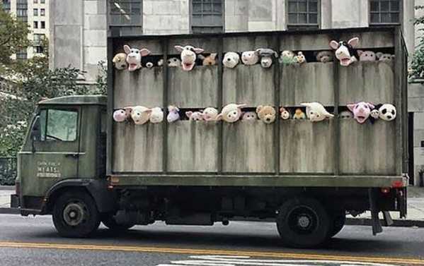 images/gallery/sightgags/StuffedAnimalTruck.jpg