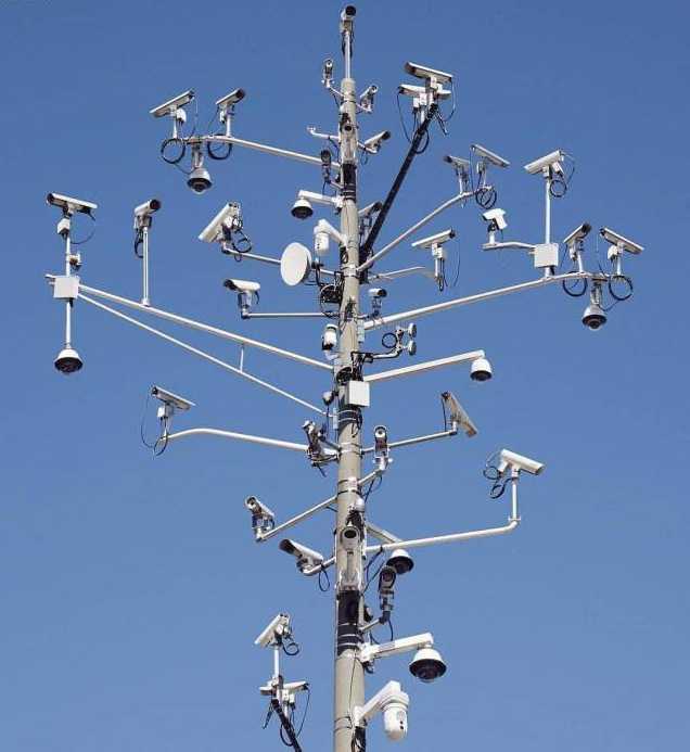 images/gallery/sightgags/SurveillanceAnyone.jpg