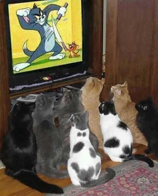 images/gallery/sightgags/SylvesterAudience.jpg