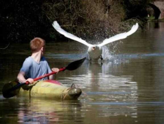 images/gallery/sightgags/TakeOff.jpg