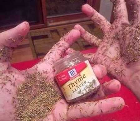 images/gallery/sightgags/ThymeOnMyHands.jpg