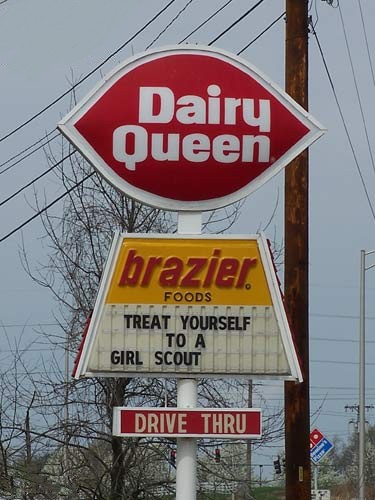 images/gallery/sightgags/TreatYourselfToAGirlScout.jpg