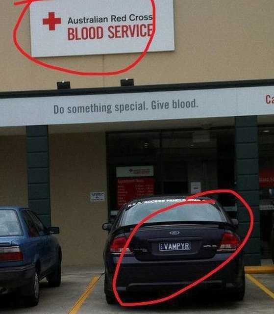 images/gallery/sightgags/Vampyr.jpg