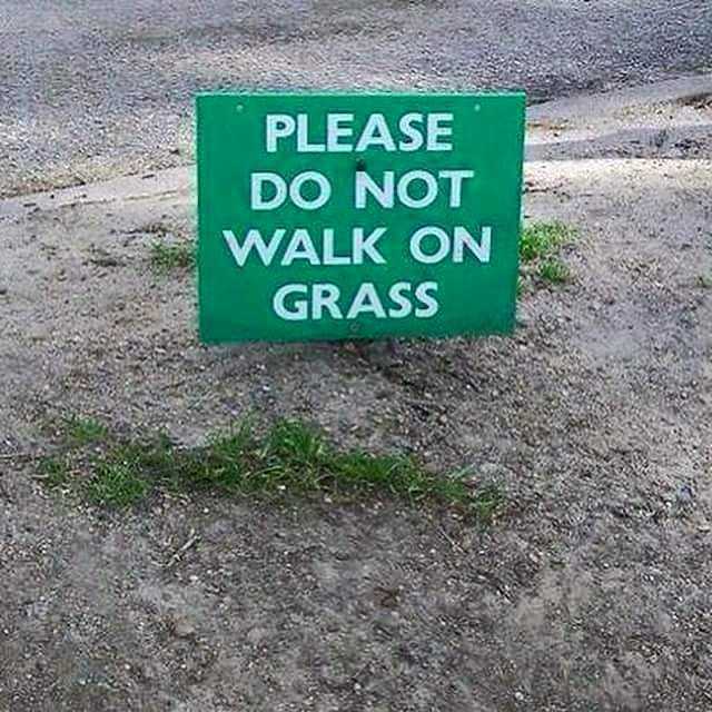 images/gallery/sightgags/WalkOnWhatGrass.jpg