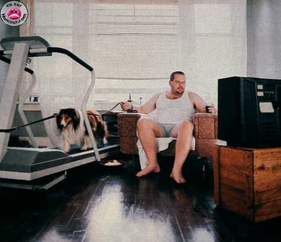 images/gallery/sightgags/WalkTheDog.jpg