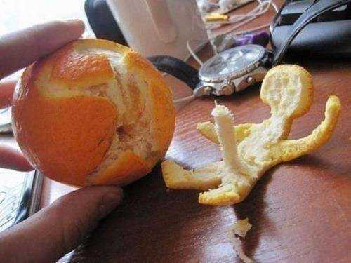 images/gallery/sightgags/WhenGoodFruitGoesBad03.jpg
