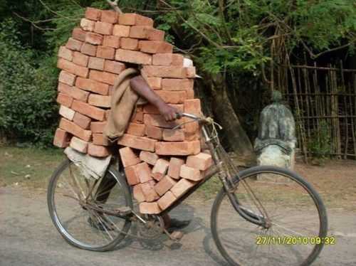 images/gallery/sightgags/WhoNeedsATruck80.jpg