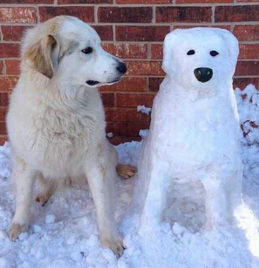 images/gallery/sightgags/WhosNewGuy.jpg