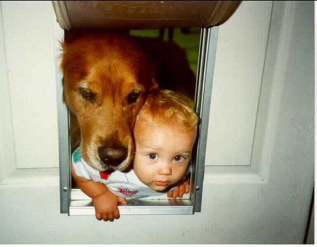 images/gallery/sightgags/WhyMenShouldNotBabysit4.jpg