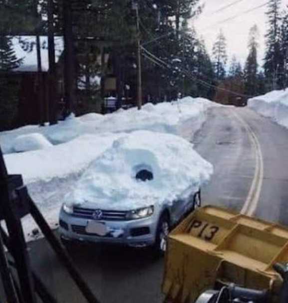 images/gallery/sightgags/WinterSafety.jpg
