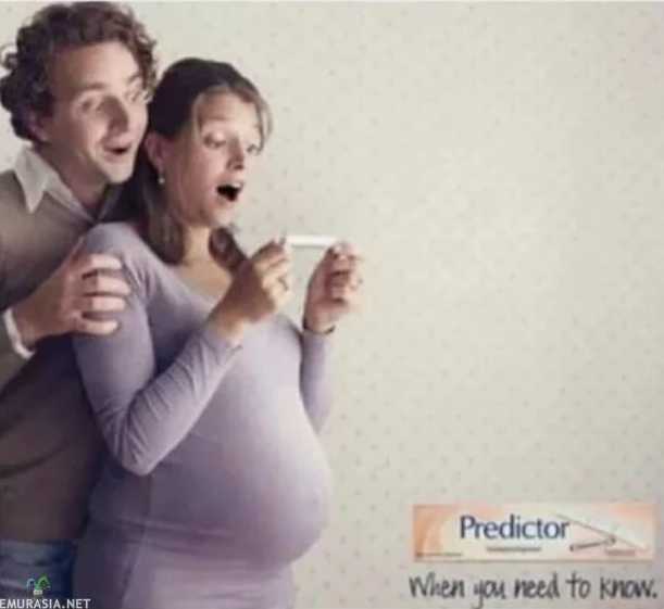 images/gallery/sightgags/WorldsDumbestCouple.jpg