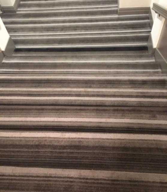 images/gallery/sightgags/WorstStairCarpetPattern.jpg