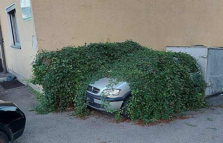 images/gallery/sightgags/YouParkedTooLong.jpg